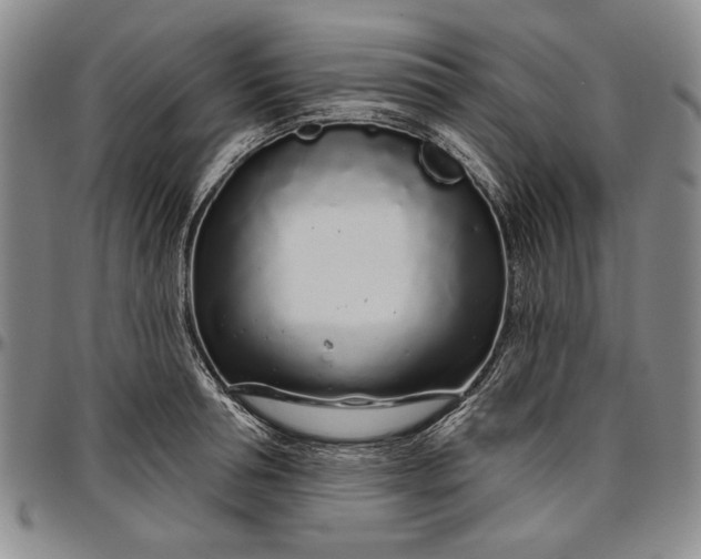 X0000096630994200802191152