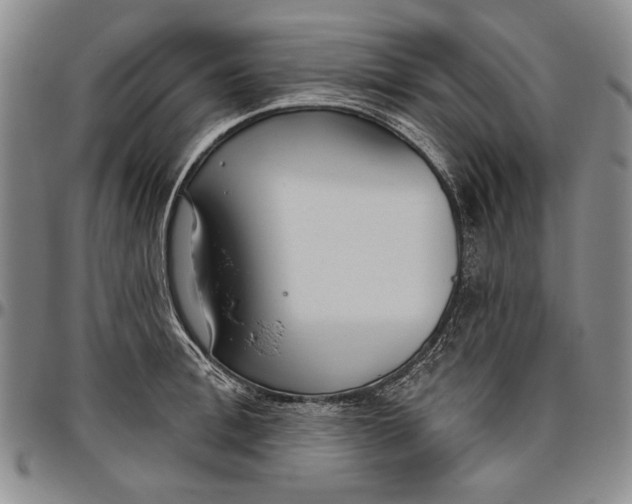 X0000096630996200802191152