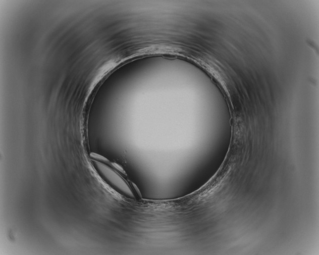 X0000096630997200802191152
