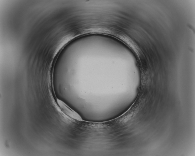 X0000096630999200802191152