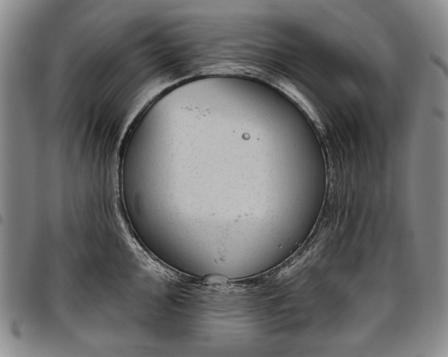 X0000096631000200802191152