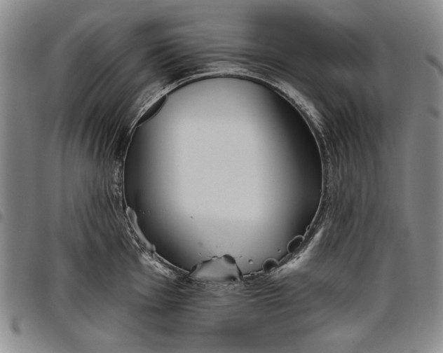X0000096631001200802191152