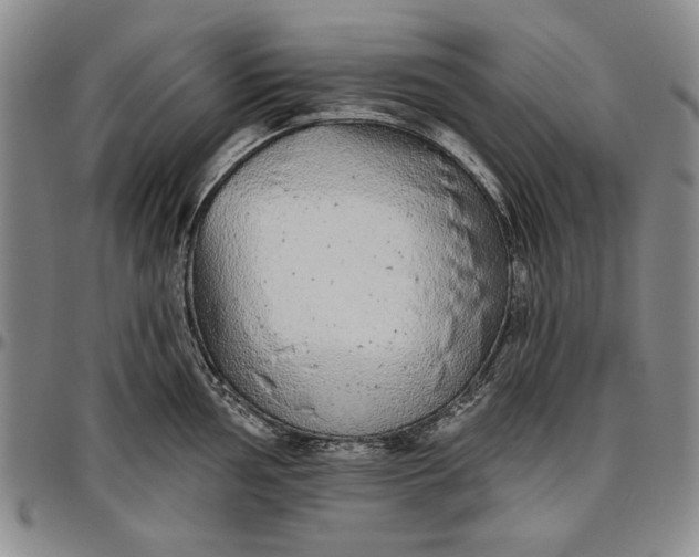 X0000096631002200802191152