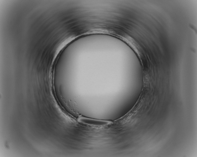 X0000096631003200802191152