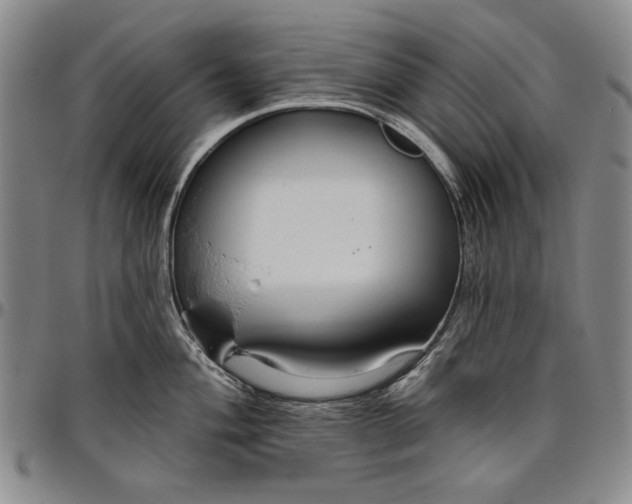 X0000096631004200802191152