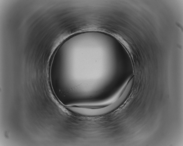 X0000096631005200802191152