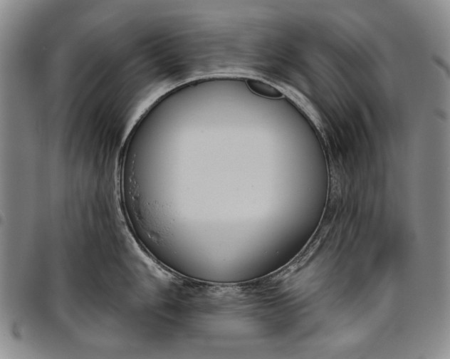 X0000096631006200802191152