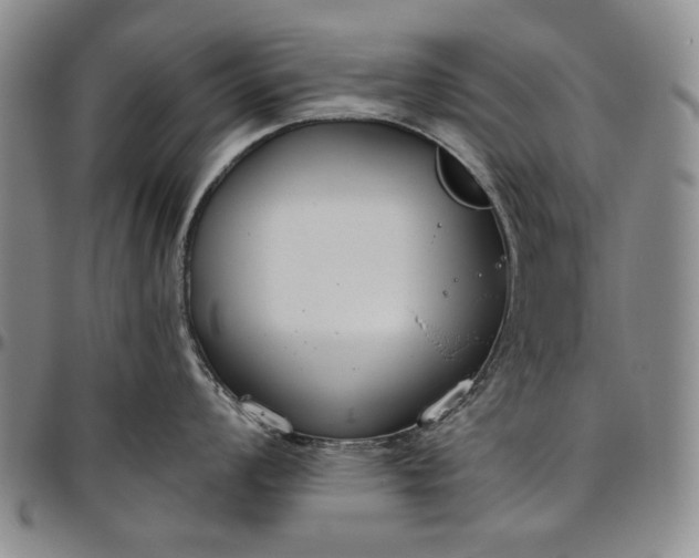 X0000096631008200802191152