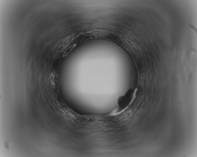 X0000096631010200802191151