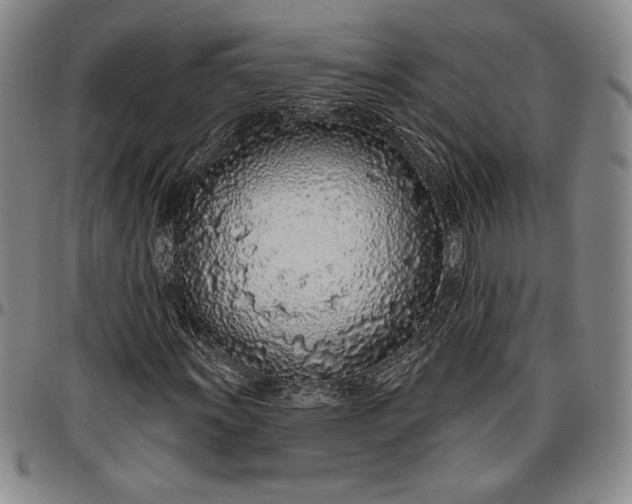 X0000096631011200802191151