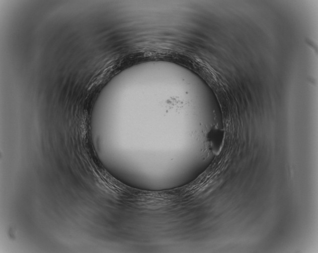 X0000096631012200802191151