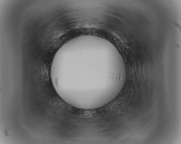X0000096631013200802191151