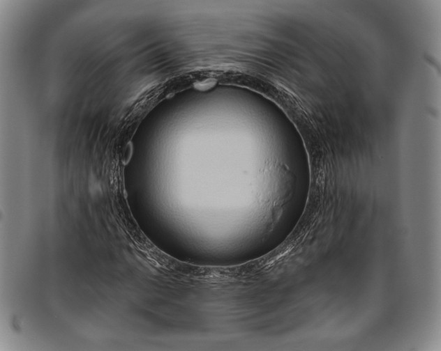X0000096631014200802191151