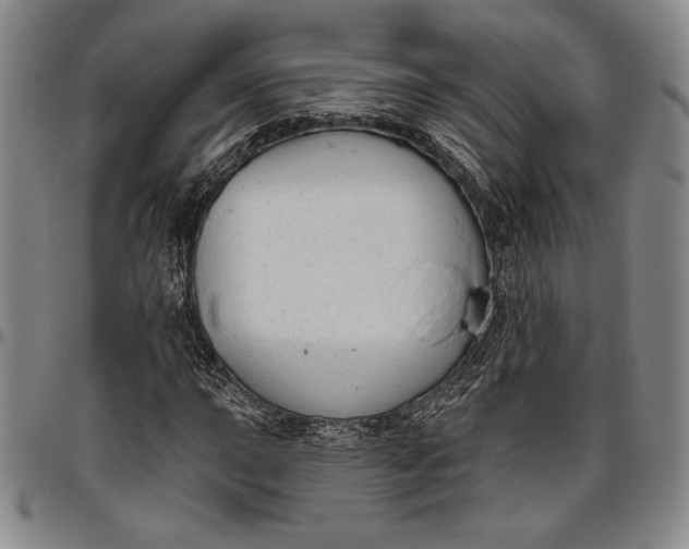 X0000096631015200802191151