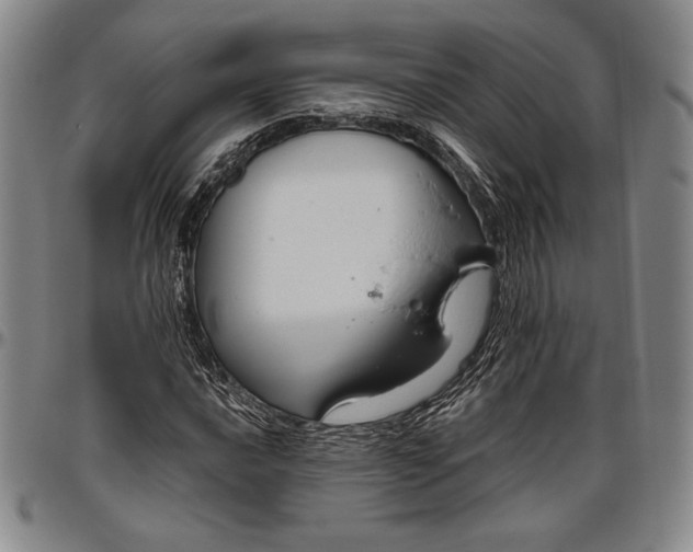 X0000096631016200802191151