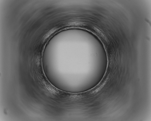 X0000096631017200802191151