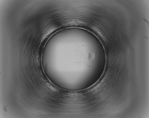 X0000096631018200802191151