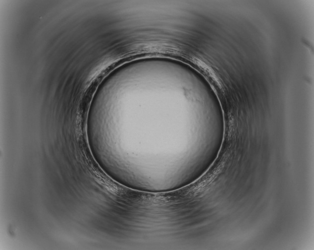X0000096631019200802191151