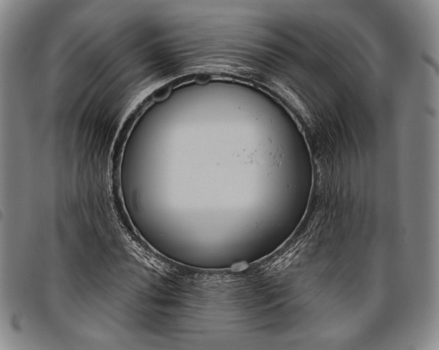 X0000096631020200802191151