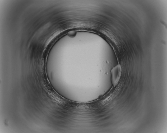 X0000096631021200802191151