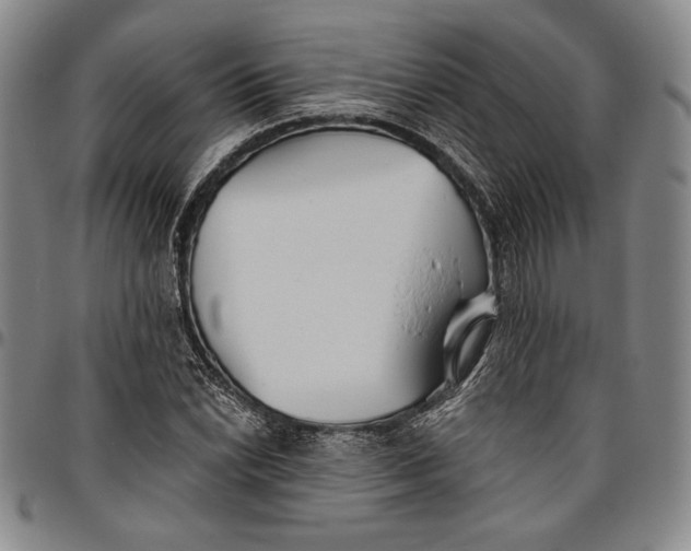 X0000096631022200802191151
