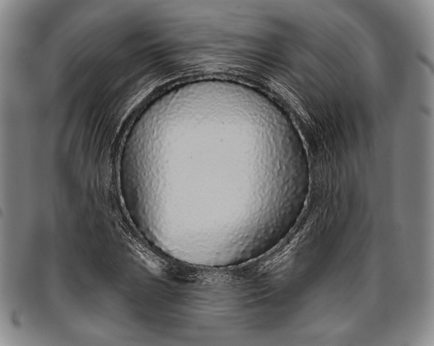 X0000096631023200802191151