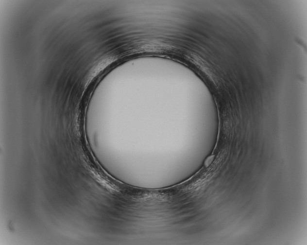 X0000096631026200802191151