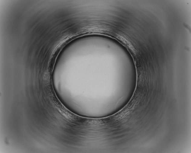 X0000096631027200802191151