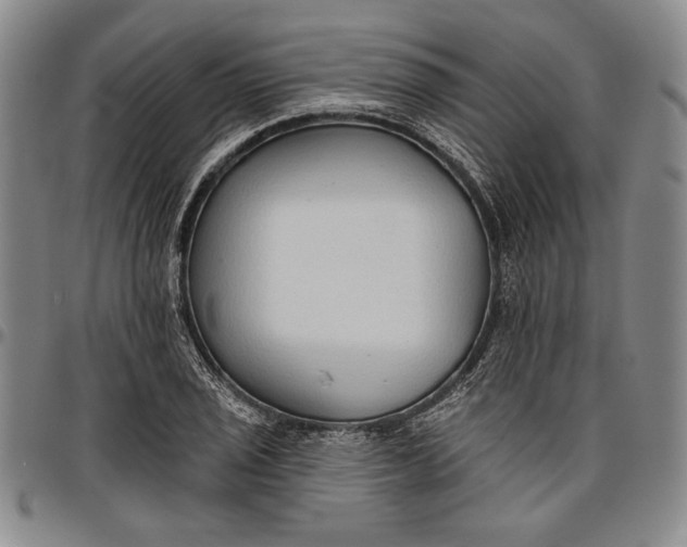 X0000096631029200802191151