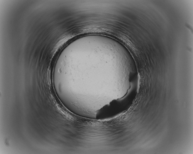 X0000096631030200802191151