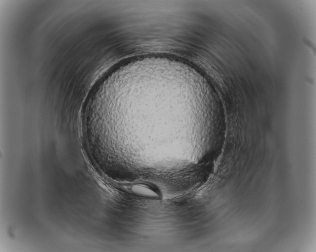 X0000096631031200802191151