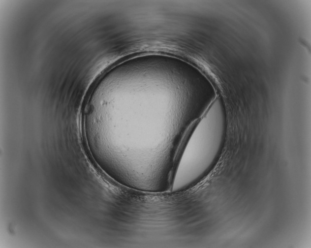X0000096631032200802191151