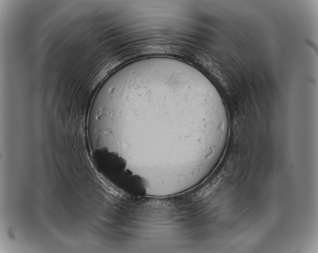 X0000096631033200802191151