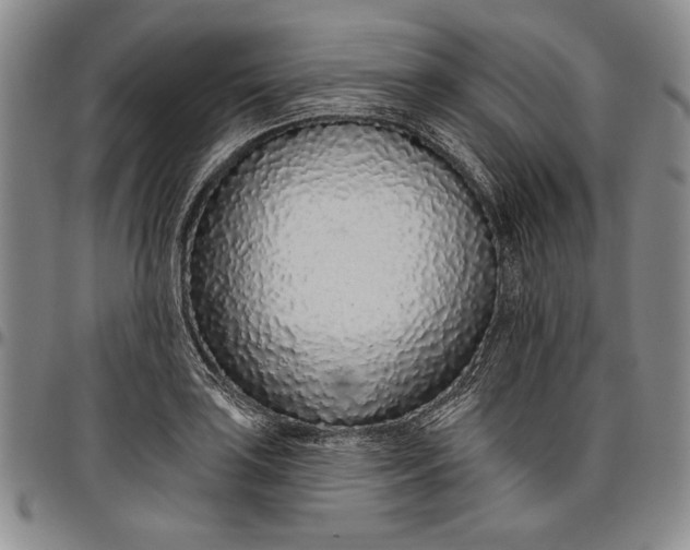 X0000096631035200802191151
