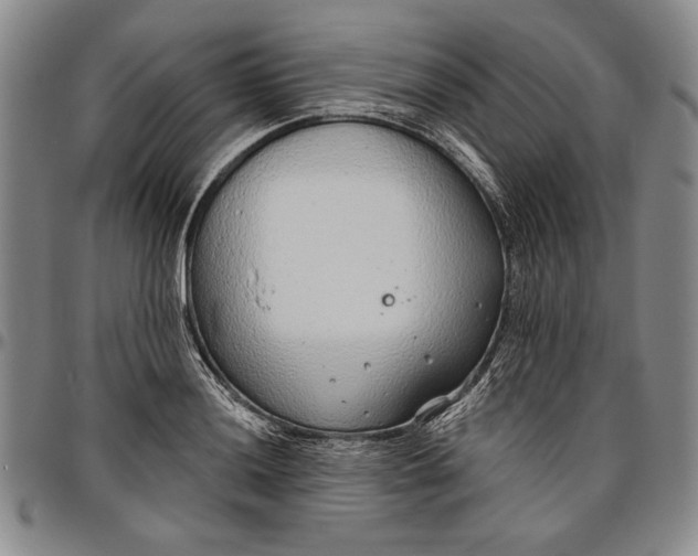X0000096631036200802191151
