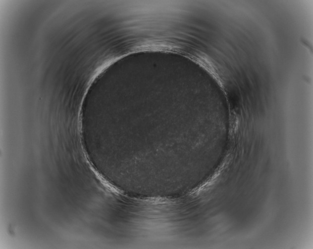 X0000096631037200802191152