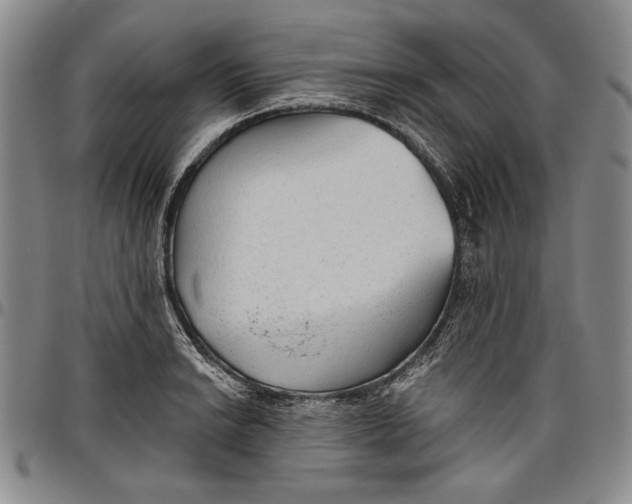 X0000096631038200802191152