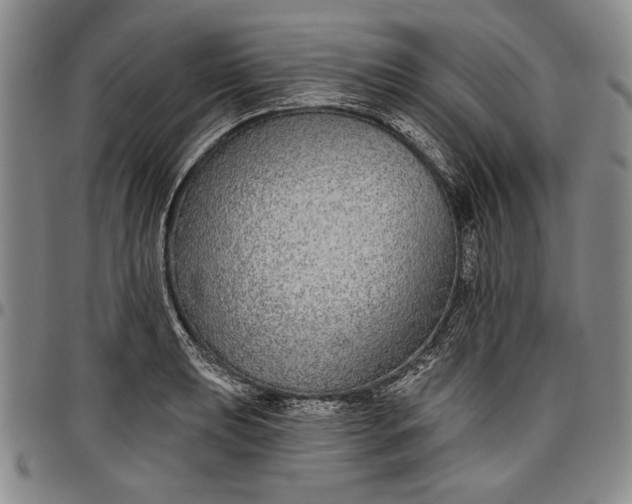 X0000096631039200802191152