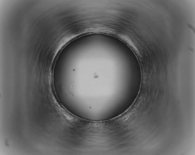 X0000096631040200802191152