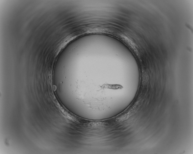 X0000096631041200802191152
