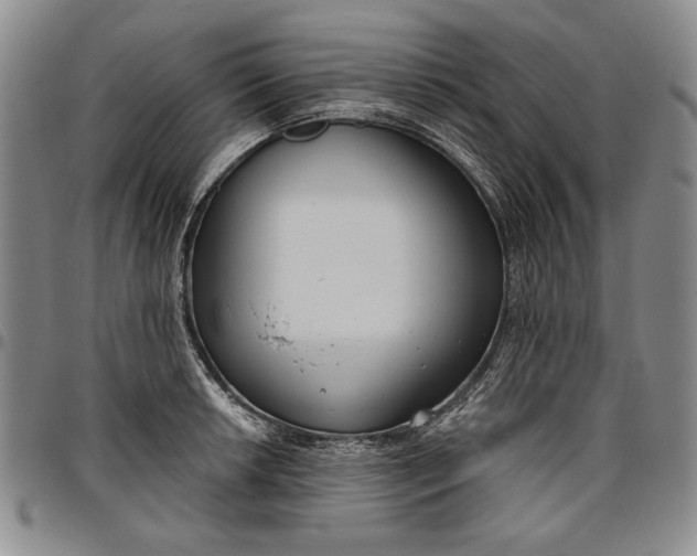 X0000096631042200802191152