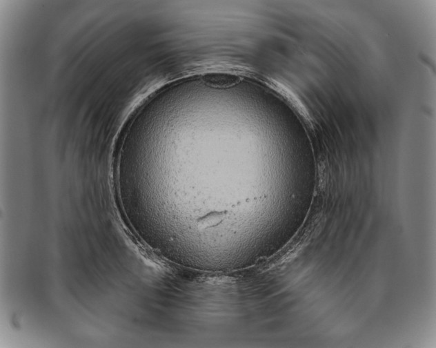 X0000096631043200802191152