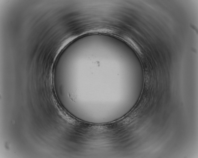 X0000096631044200802191152
