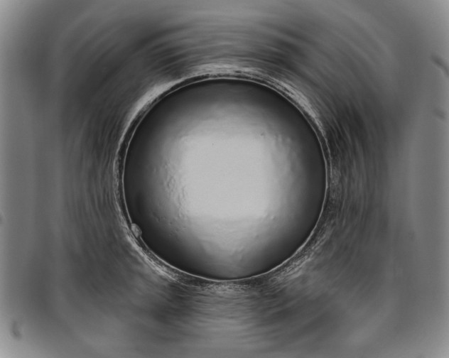 X0000096631045200802191152