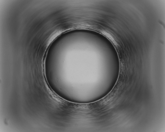 X0000096631047200802191152