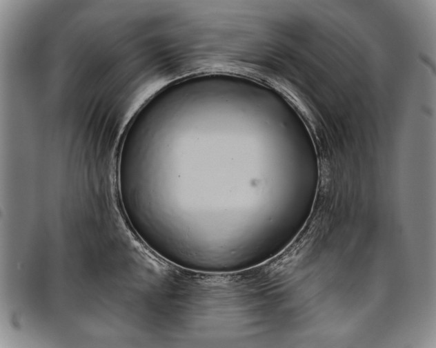 X0000096631048200802191152
