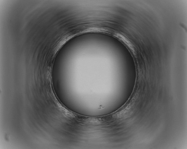 X0000096631049200802191152