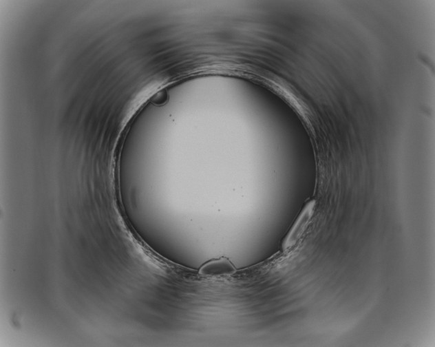 X0000096631050200802191152