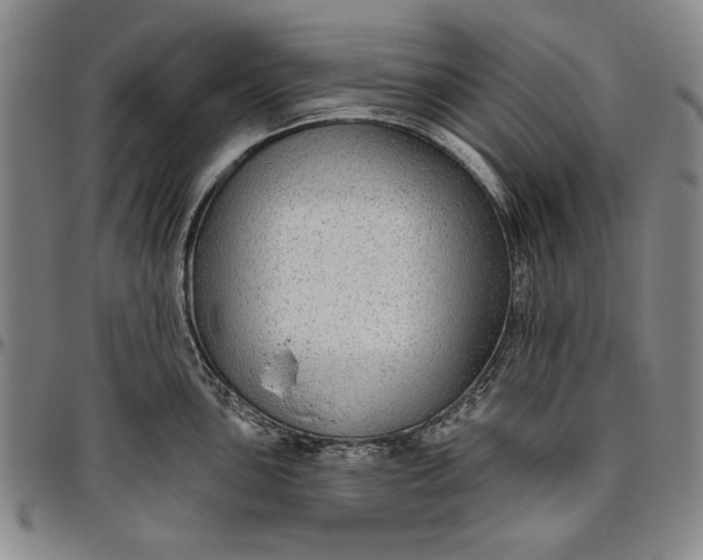 X0000096631051200802191152