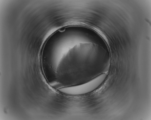 X0000096631053200802191152